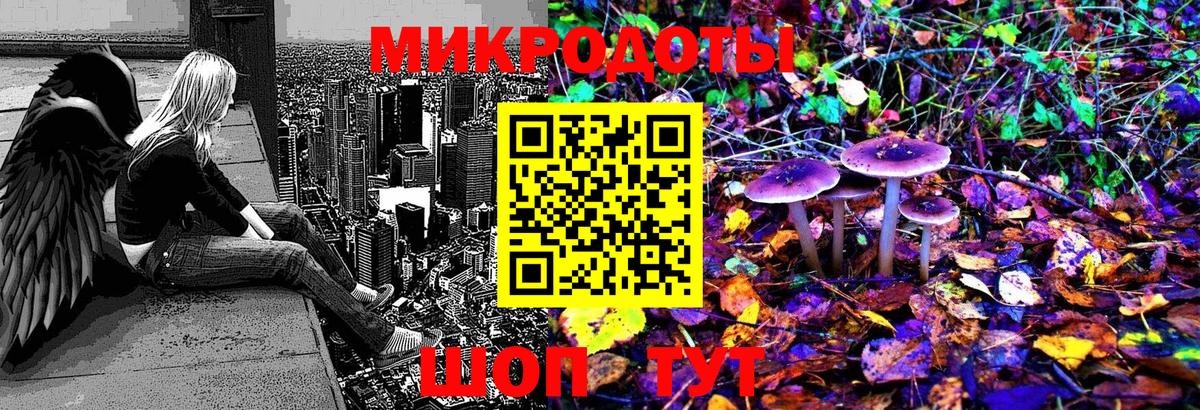 Псилоцибиновые грибы Cubensis Аша