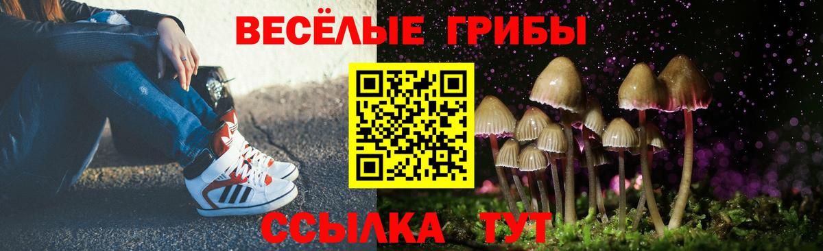 Галлюциногенные грибы MAGIC MUSHROOMS  Псилоцибиновые грибы мухоморы  Вход с VPN  Аша 